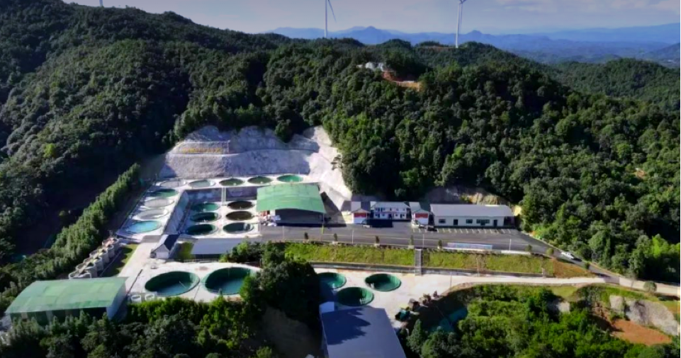 28圈(中国)官方网站